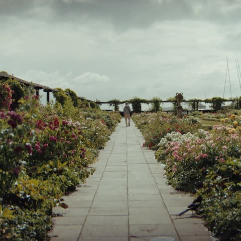 A person walks slowly down a long stone path lined with vibrant rose bushes under a heavy overcast skyin the foreground a small bird hops across the pavement while the distant figure continues toward a sheltered garden overlook