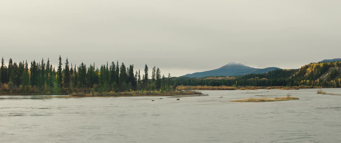 A calm wide river flows through evergreen forests and autumn colored trees under an overcast sky