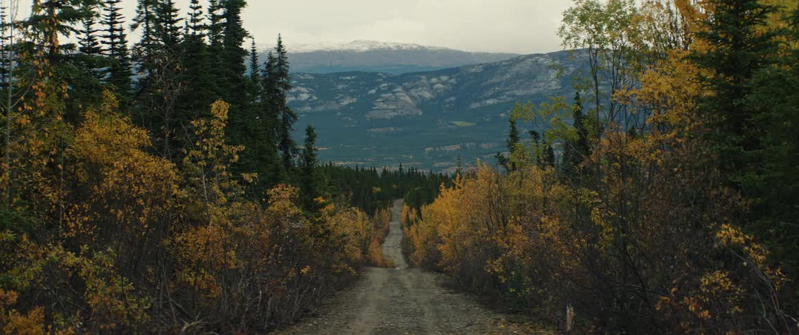 A gravel road winds through autumn colored forest toward distant snow capped mountains