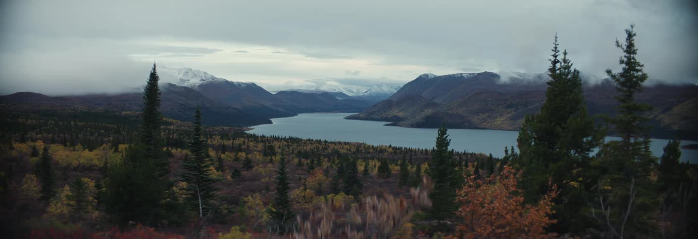 A static view of Yukon's Fish Lake as foliage blows in the wind