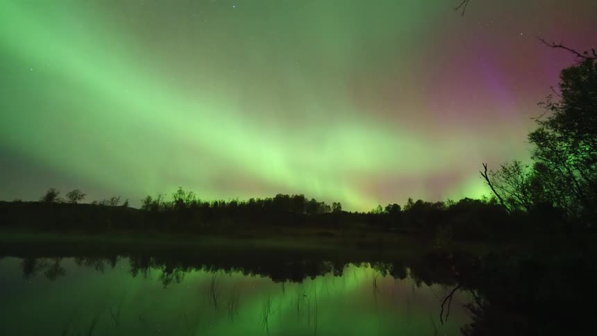 Vibrant green and pink northern lights reflect in the still water above a dark forest