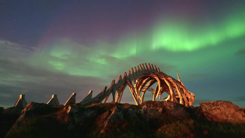 The aurora shines on the dinosaur skeleton