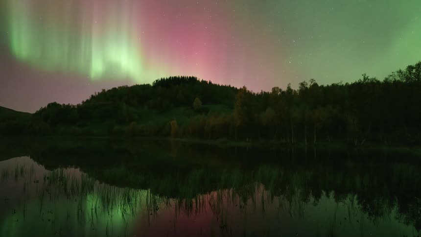The colorful lights of the aurora borealis move over forested mountains along the coast