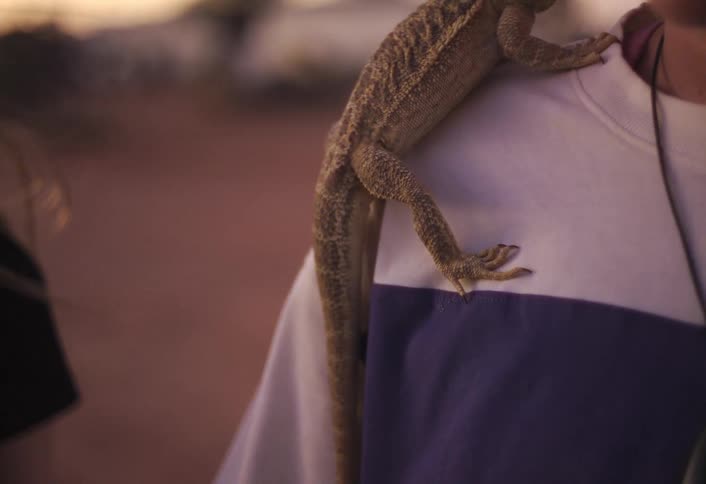 A lizard crawling on a persons shoulder