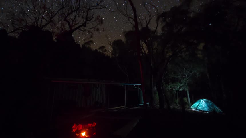 Lit campfire in a forested area at night with an illuminated tent and a starry sky in the background