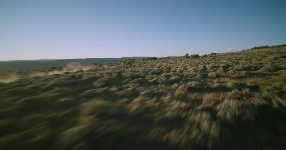 Biker riding a motorcycle on a dust road surrounded by vegetation outdoors during day time