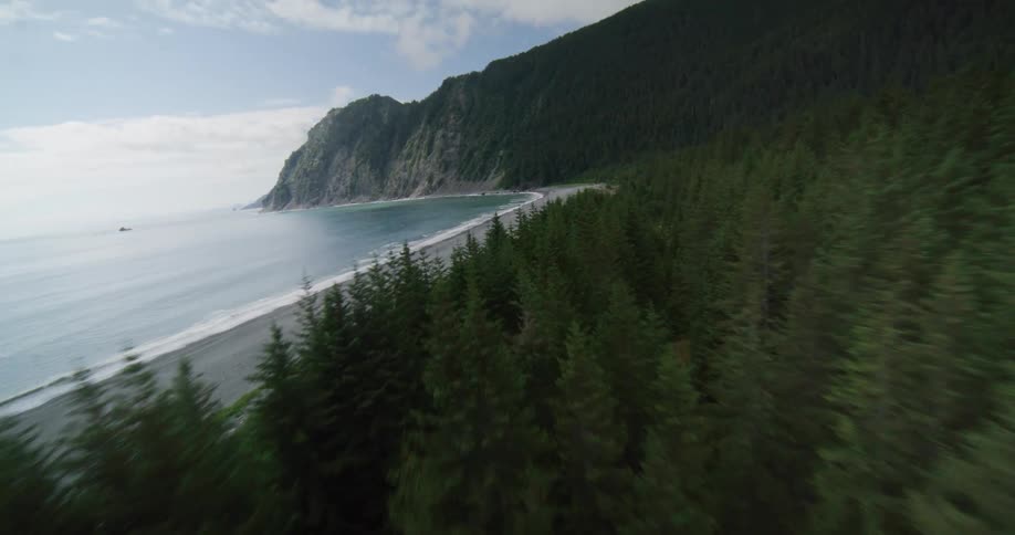 Coastline with a curved beach beside dense forest and mountains in the background