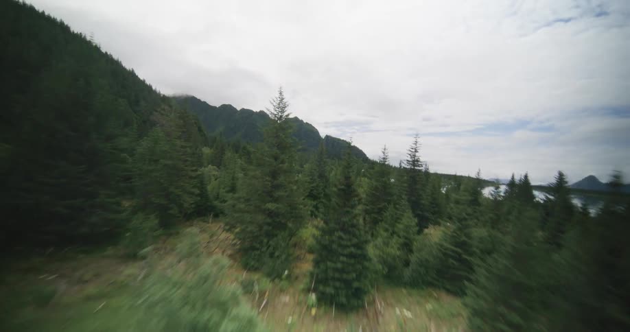 Forested mountain river valley with ice floatng on the water
