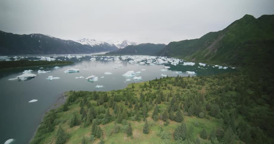 Lake surrounded by mountains with floating ice blocks and vegetation along the shoreline