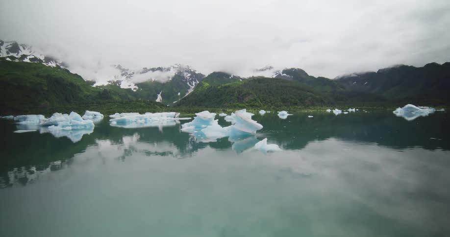 Icebergs float in a calm glacial lake amid evergreen forests and snow capped mountains