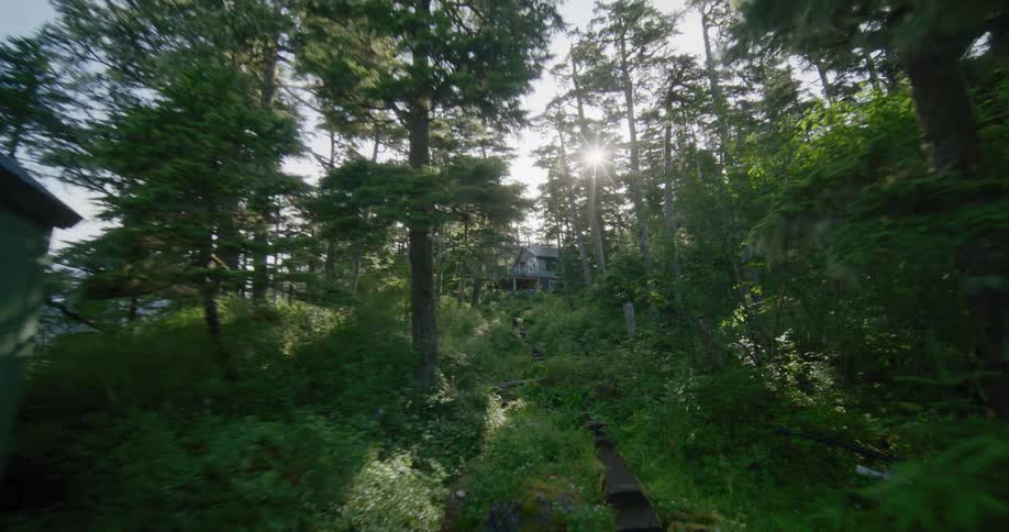 A view of some rural buildings out in a forest