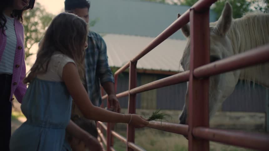 A family with two young daughters stands by a red metal fence at a farm smiling while they handfeed grass to a white horse during the evening