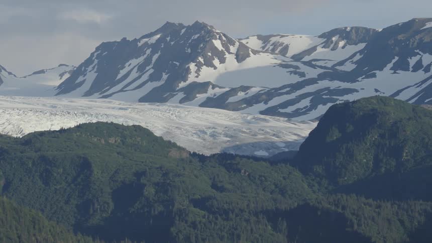 The video shows a wide static shot of a sprawling mountain range under a pale overcast skya massive white glacier flows between the dark snowcapped peaks overlooking a foreground of dense green evergreen forests