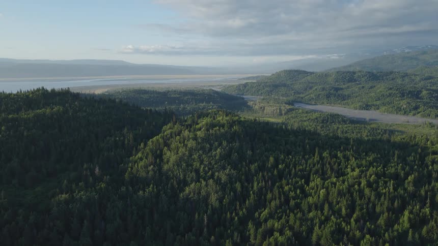 An aerial camera glides over a dense pine forest in a vast mountain valley during the golden hour revealing a wide river basin and distant coastal plains under a soft clouded sky
