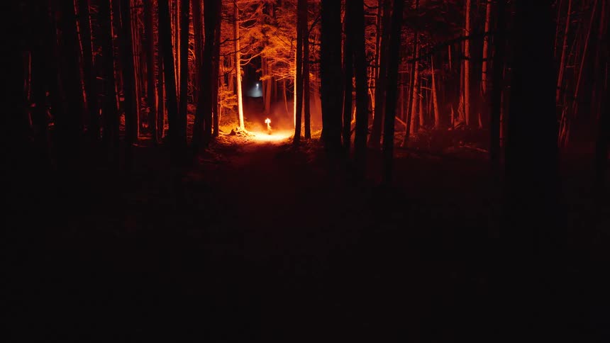 A fire burning at night in a forest