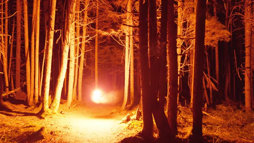 Some fire floating through a forest area