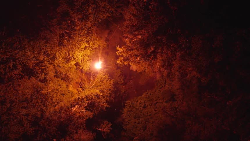 A flame moving around in a forest