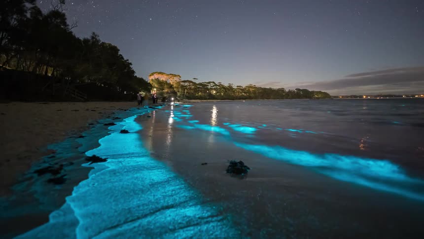 A view of waves glowing on the beach