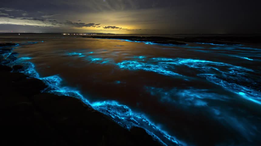 A wide shot taken at night reveals a rocky coastline where the ocean waves glow with a vibrant bioluminescent blue as they crash against the shore