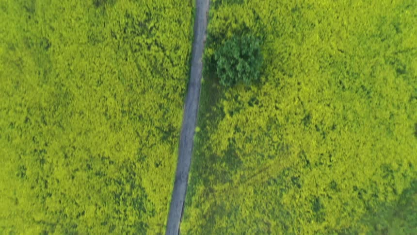 The trail runs through a green field