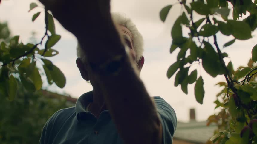 The man is checking his crops
