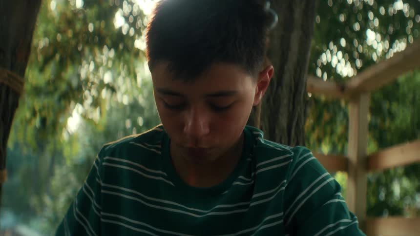 Boy seated outside in a tree fort is focusing and typing on a laptop or tablet for school