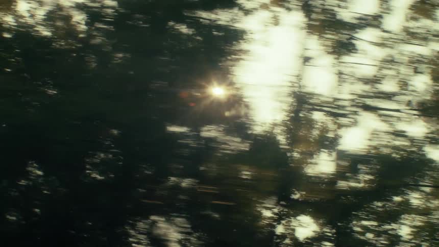 The camera moves rapidly through a dense pine forest as bright golden sunlight flickers and flares between the dark silhouettes of passing trees