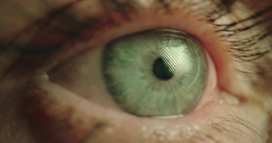 A macro closeup captures a light blue woman eye as the pupil constricts and the eyelid blinks in an indoor setting