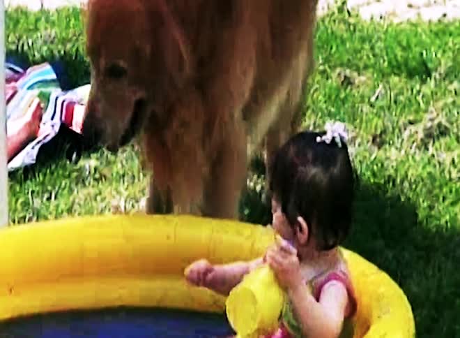 Dog next to a baby who is in an inflatable pool