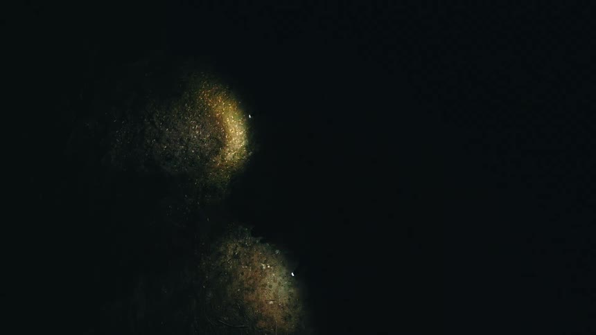 A topdown aerial shot captures a small group of people walking through a dense forest at night their path illuminated only by the moving beams of flashlights that reveal the textured leafcovered ground amidst the surrounding pitch black