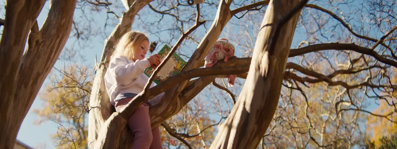 A young girl sits on a tree branch on a sunny day holding a book and reading quietly while the warm light shines through the leaves around her