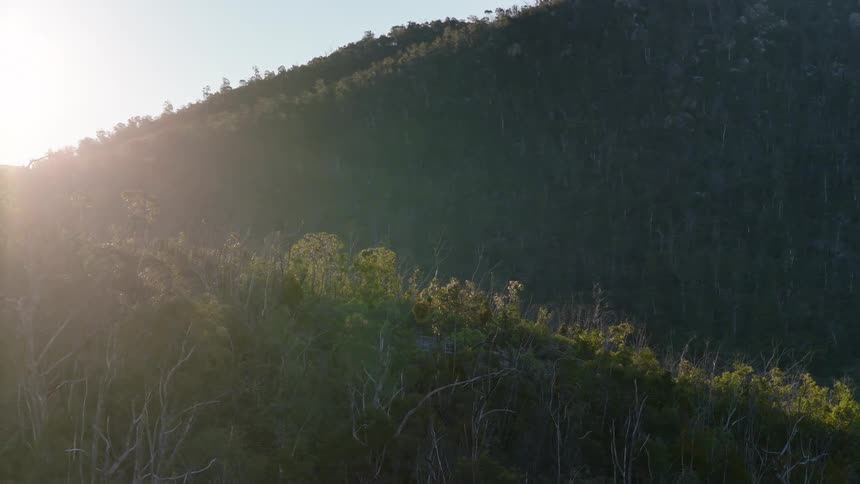 Mountains covered in trees separated by a valley in a mountain range outdoors