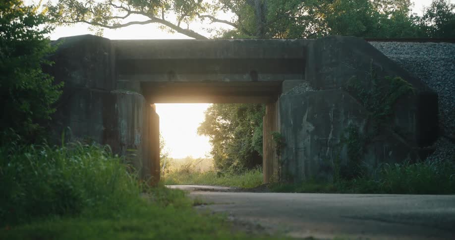 A sunlit rural road winds through a dark concrete underpass surrounded by green trees