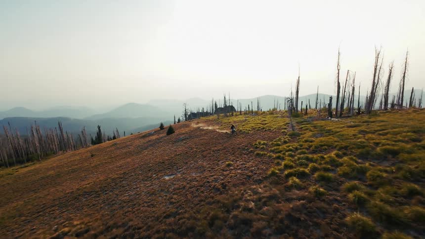 A motorcyclist rides across a grassy mountain ridge through a landscape of burnt trees