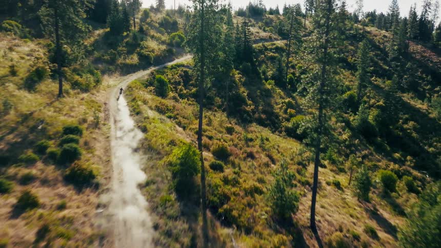 Aerial view of a lone biker riding along a sunlit dirt path through hilly forest