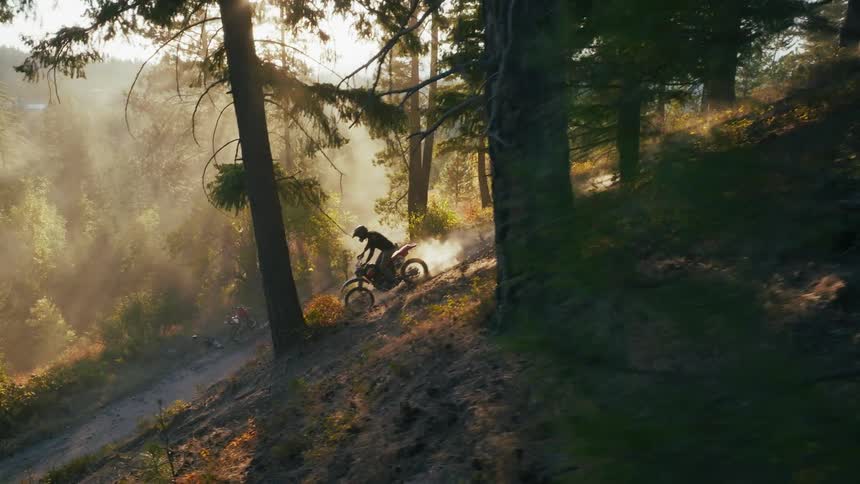 Bathed in golden morning light a motocross rider navigates down a steep pinelined slope leaving a cloud of dust that dances in the sunbeams piercing through the trees