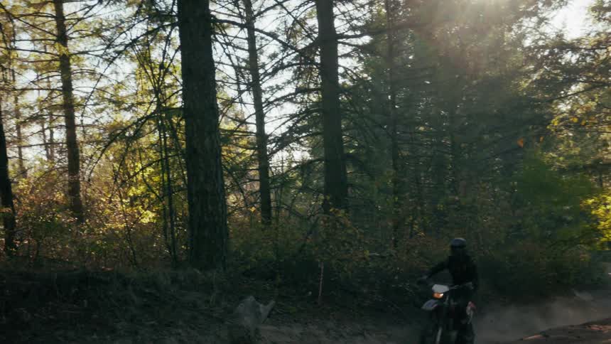 A dirt bike rider speeds through a sunlit forest motion blur and flying dust emphasizing the rush of movement between tall autumn trees