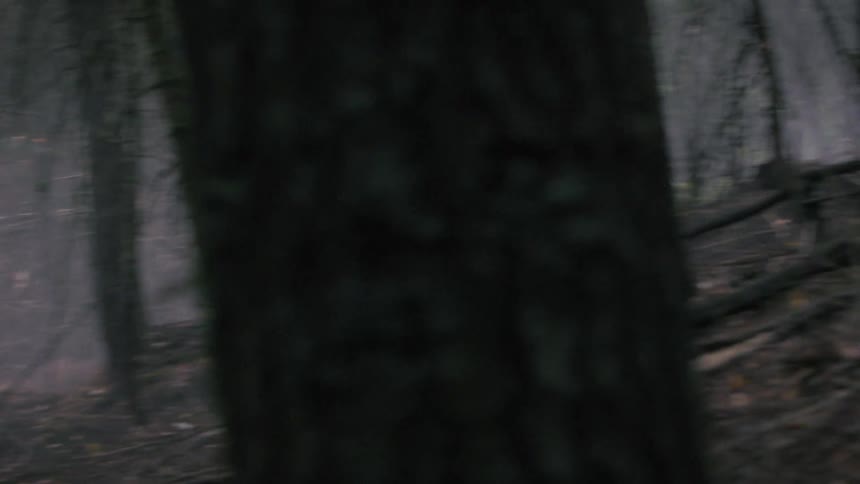 A person riding a dirt bike in a forest