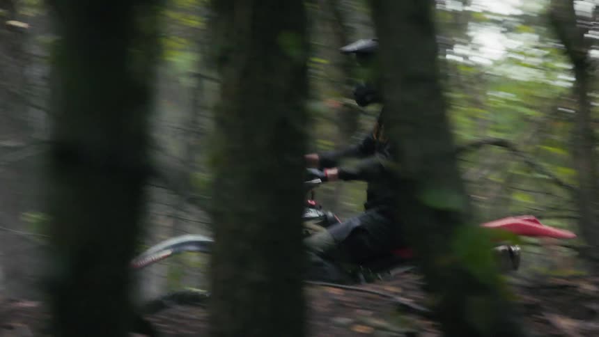 A biker speeds along a sunlit dirt trail surrounded by dense trees in a forest