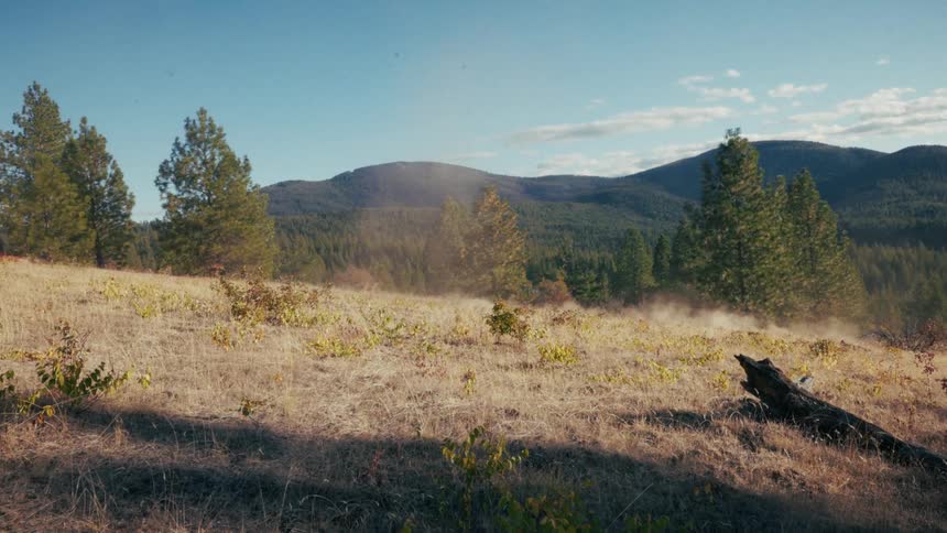 A person on a dirt bike speeds across a dry grassy field kicking up a large cloud of dust with evergreen trees and rolling hills in the background
