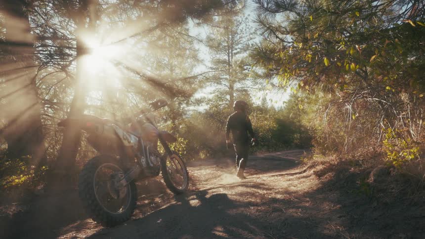 A biker in the woods