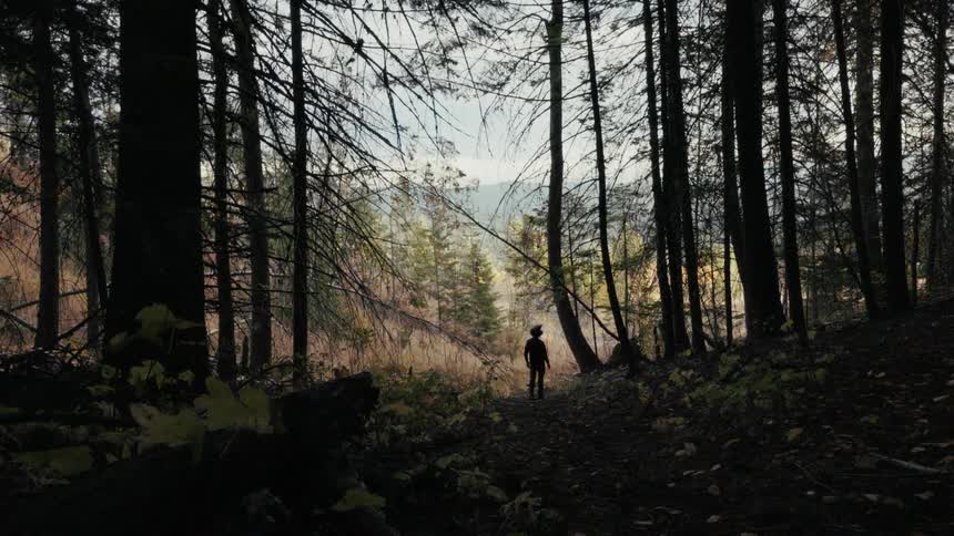 A man stands in a dirt path through a dark wooded area toward a sunlit clearing that overlooks a misty mountain valley during the autumn season