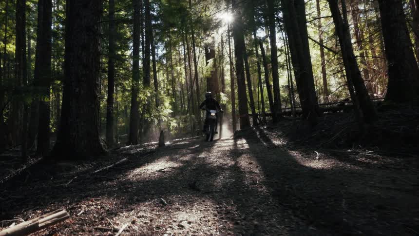 Motocross rider moving along a forest trail with sunlight filtering through the trees