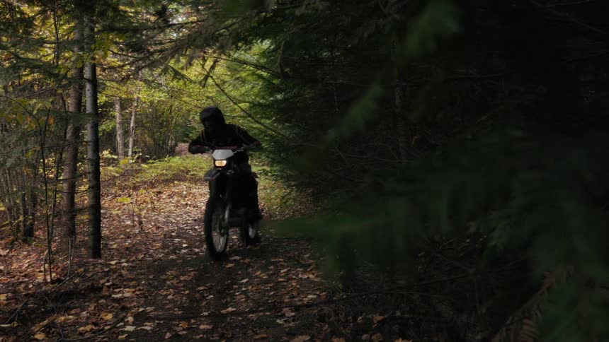 A person riding a motorcycle moves quickly along a narrow dirt path covered in fallen leaves through a dense forest with tall trees