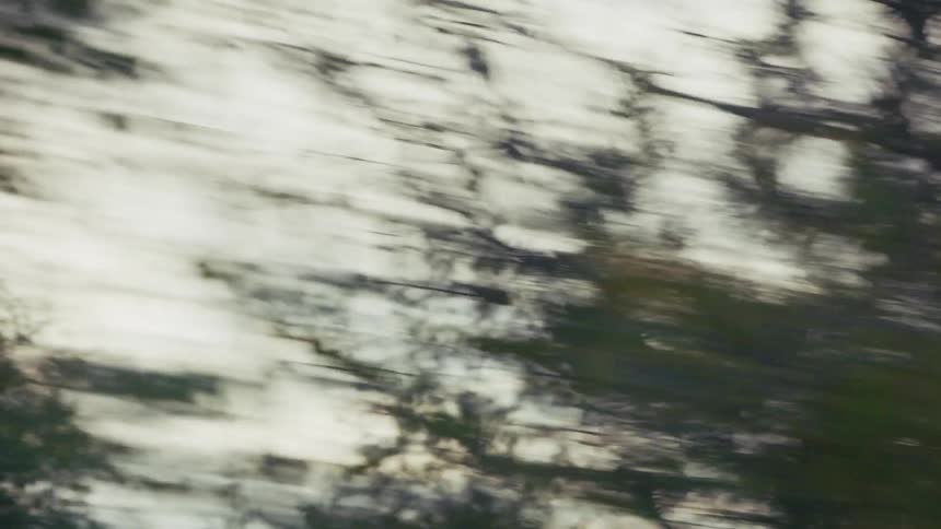 A camera captures a highspeed tracking shot from a moving vehicle showing a blur of dense green trees and bright sky passing by in a rapid continuous motion that creates a streaking effect across the forest landscape