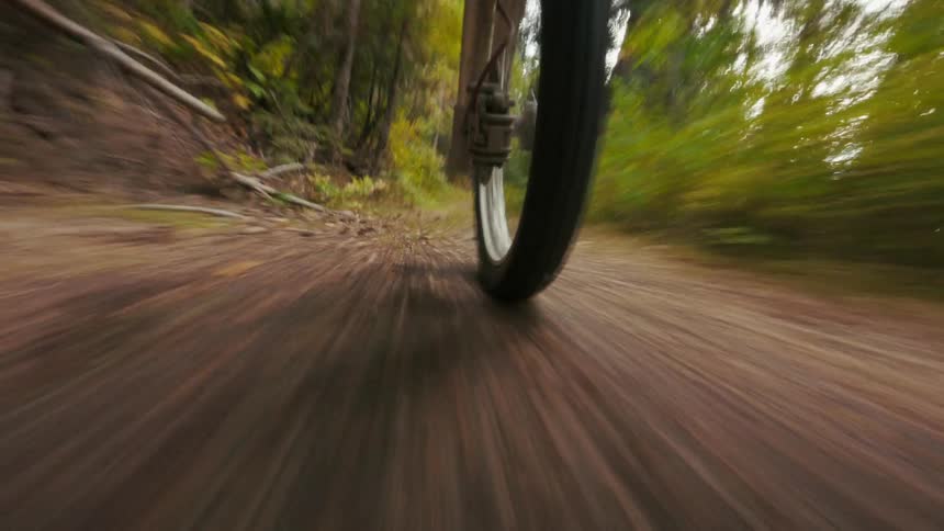 A mountain bike tire speeding along a dirt path through a forest with blurred surroundings