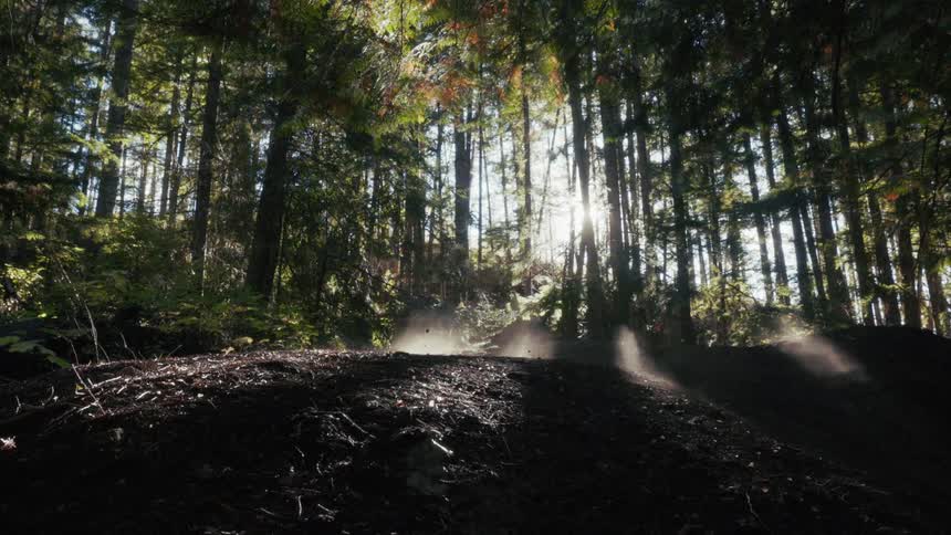 Motocross rider crossing a raised section of a forest trail with sunlight filtering through the trees