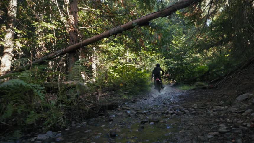 Biker wearing a helmet and black clothing riding a motorcycle over a creek next to a forest outdoors during day time