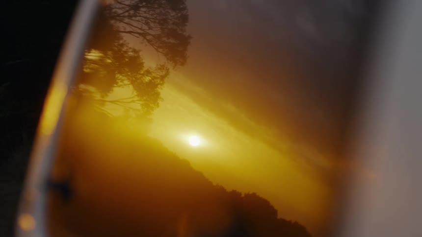 The golden sunset and silhouettes of trees are reflected on a smooth curved surface
