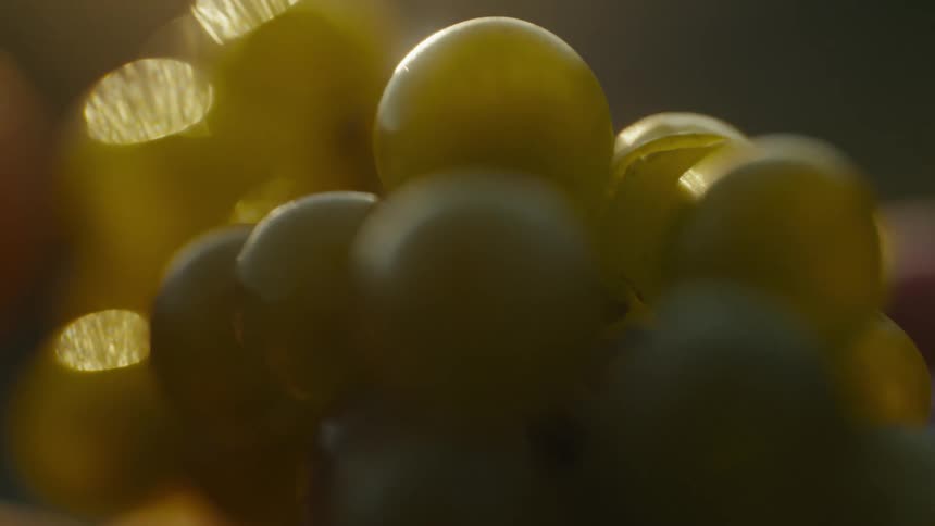 A close view of a bunch of green grapes illuminated by bright warm sunlight creating soft glowing circles in the background
